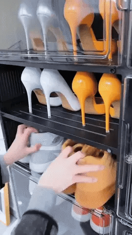 Organizador de Zapatos que Está Arrasando en TikTok🔥🔥🔥 (6 niveles)